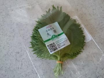 大葉（宮崎産）-1