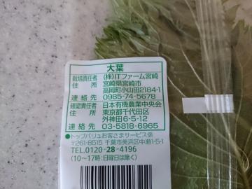 大葉（宮崎産）-2