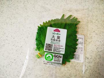 減の恵み 大葉（宮崎県産）-1