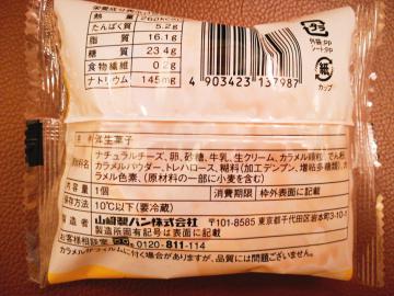 バスチー-2